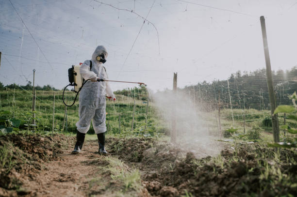 Best Mosquito Control Services  in Niagara Falls, NY