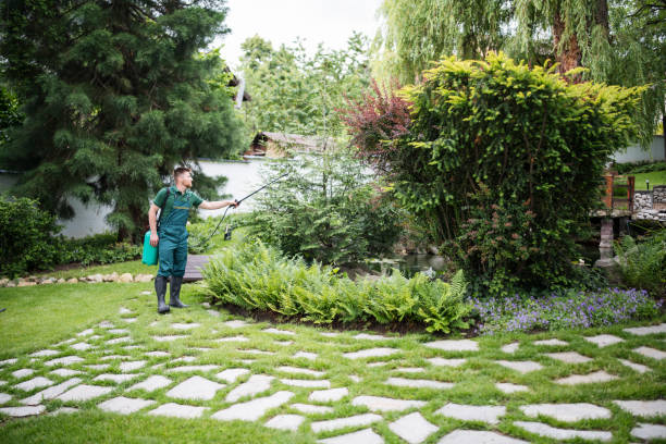  Niagara Falls, NY Pest Control Pros