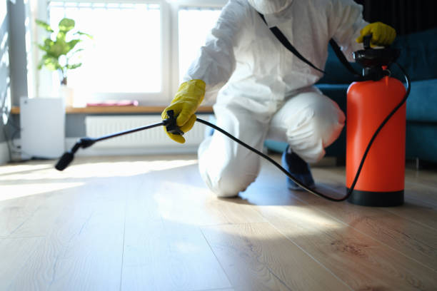 Best Wasp Removal Services  in Niagara Falls, NY