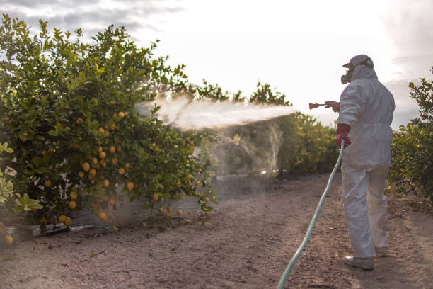 Best Pest Control Near Me  in Niagara Falls, NY