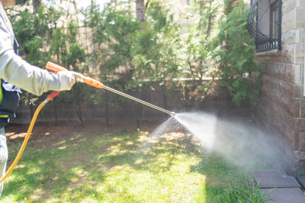 Best Bed Bug Extermination  in Niagara Falls, NY