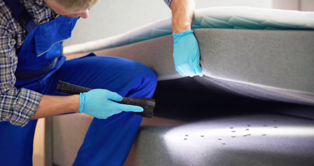 Best Pest Removal Services  in Niagara Falls, NY