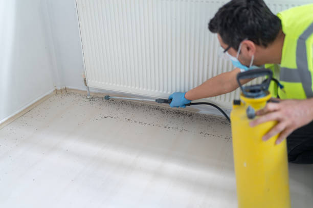 Best Affordable Pest Control Services  in Niagara Falls, NY