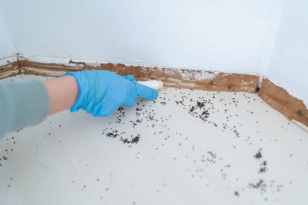 Niagara Falls, NY Pest Control Company