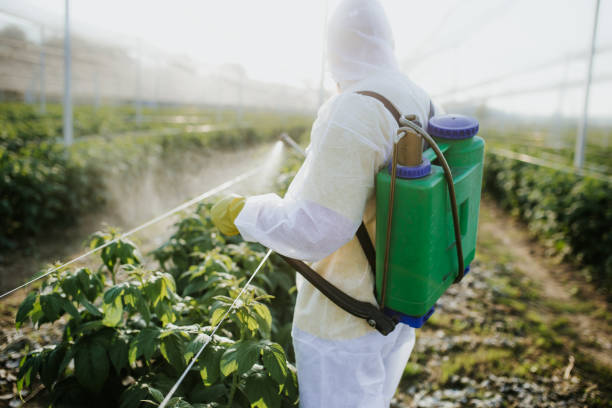 Best Commercial Pest Control Services  in Niagara Falls, NY